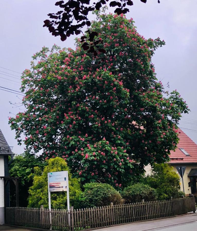 Langenbach bei Kirburg Gemuetliche Fewo Naehe Hachenburg, Bad Marienberg 아파트 외부 사진